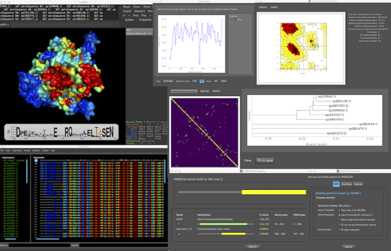 pymol download educational version