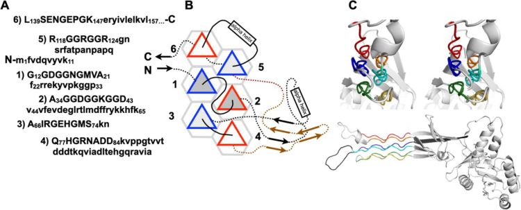 PPIIMoL - PyMOL Wiki
