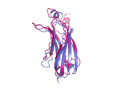 Protein Structure Align