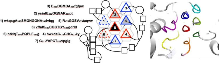 PPIIMoL - PyMOL Wiki