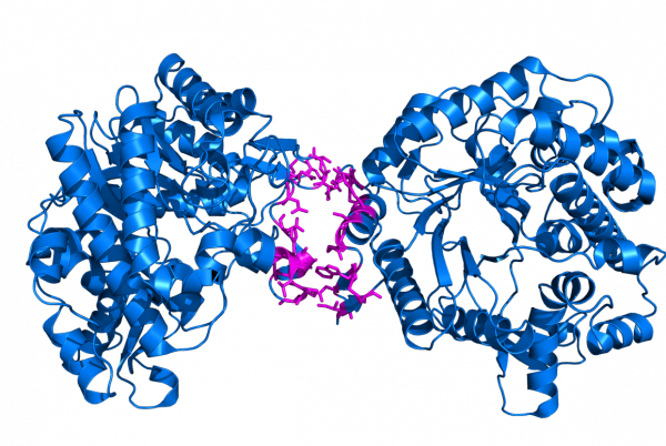 InterfaceResidues - PyMOLWiki