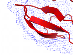 Mesh type - PyMOL Wiki