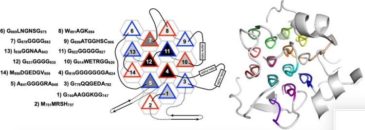 PPIIMoL - PyMOL Wiki